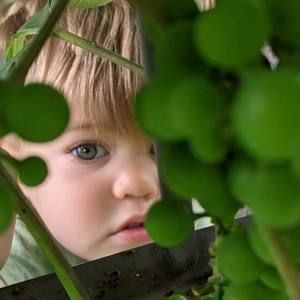 Meet your Posher, Maureen